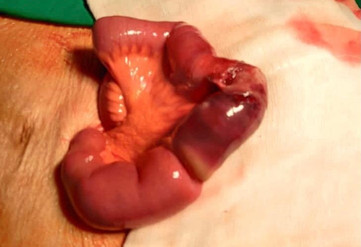 Gastroenterologist in Nashik